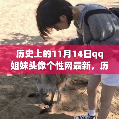 历史上的11月14日与QQ姐妹头像的个性潮流演变