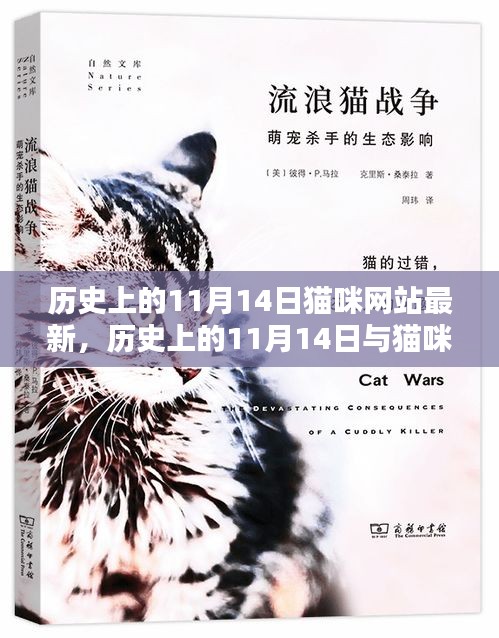 历史上的11月14日与猫咪网站的新动态，深度探讨及最新资讯