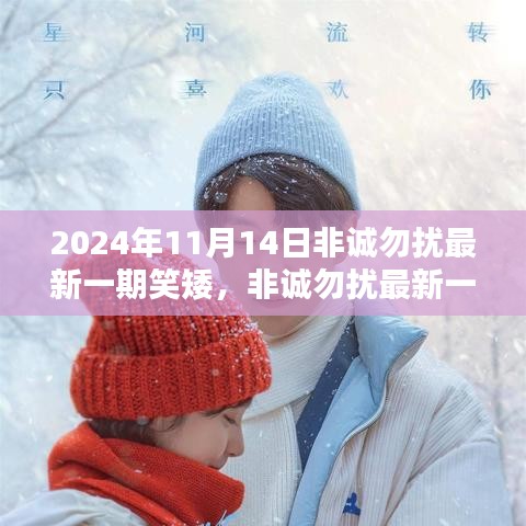 2024年11月15日 第4页