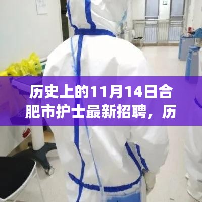 历史上的11月14日合肥市护士招聘全攻略，最新职位与应聘指南