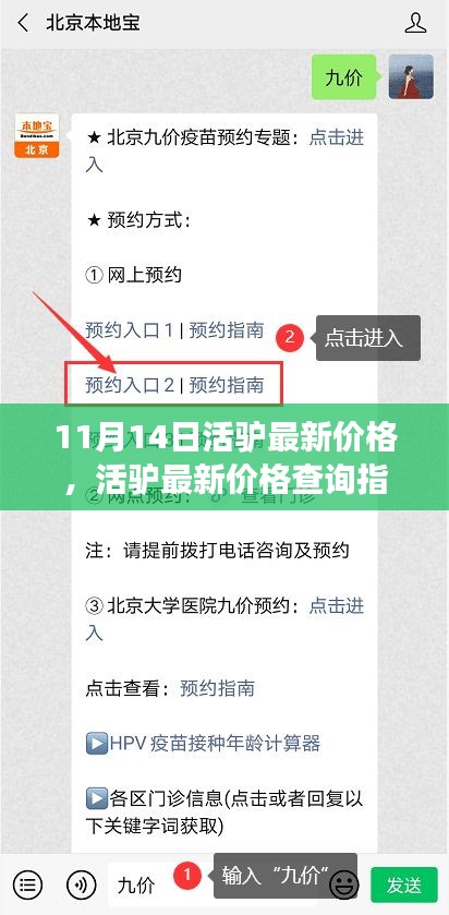 11月14日活驴最新价格查询指南，获取准确信息的方法与途径