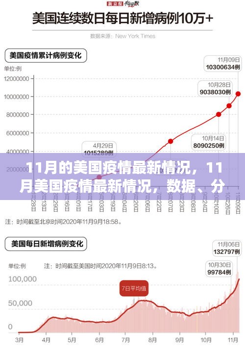 美国疫情最新动态，深度解析11月数据、案例及分析