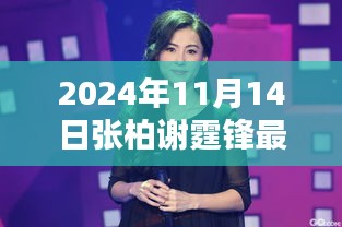 张柏谢霆锋2024年最新动态，巨星重燃时代之光