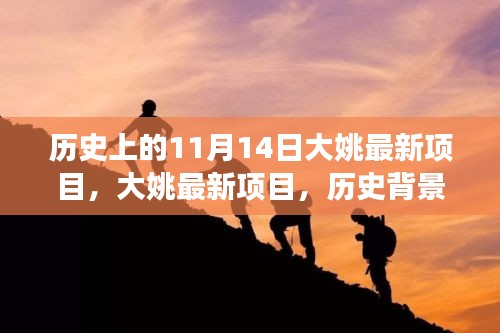 大姚最新项目揭秘，历史背景、重大事件与深远影响的探究