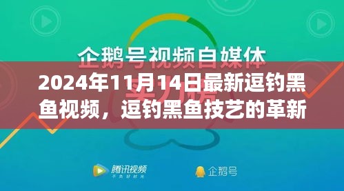 最新逗钓黑鱼技艺解读，革新与挑战，2024年黑鱼逗钓视频实录