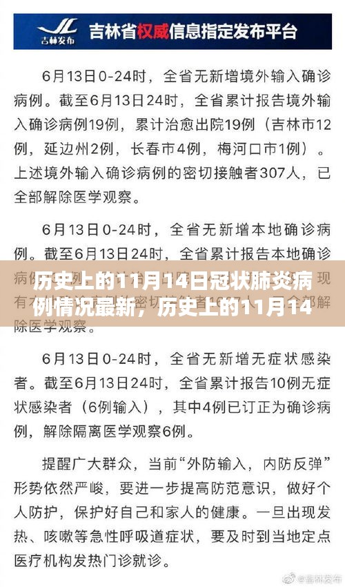 历史上的11月14日冠状肺炎病例最新情况全面评测与分析，最新数据揭示的疫情进展与挑战解析