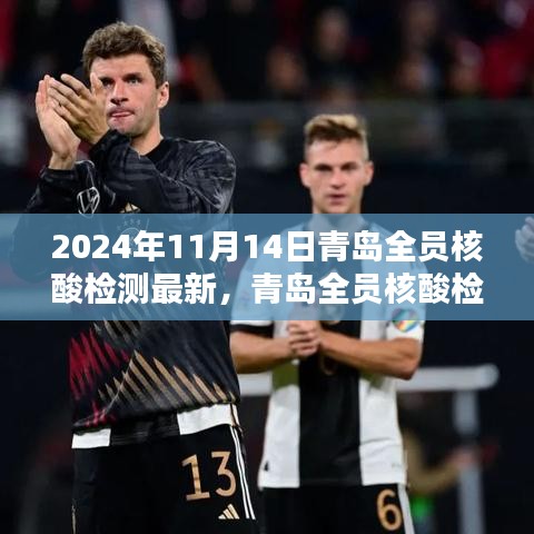 青岛全员核酸检测最新指南，一步步教你完成核酸检测任务（2024年11月）