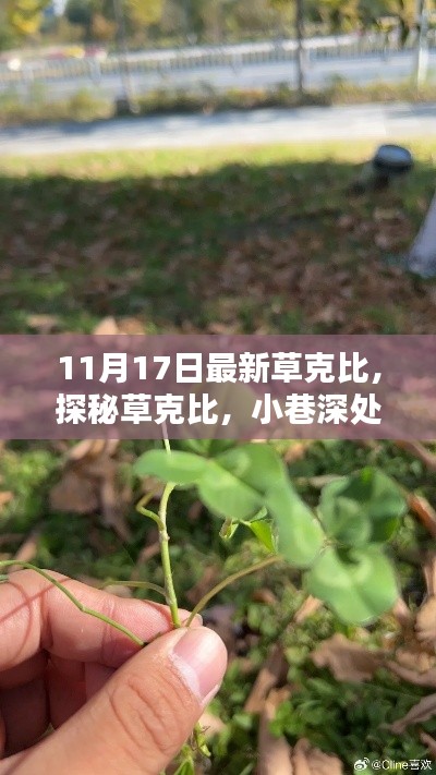 探秘草克比，小巷深处的独特风味——最新揭秘（11月17日）