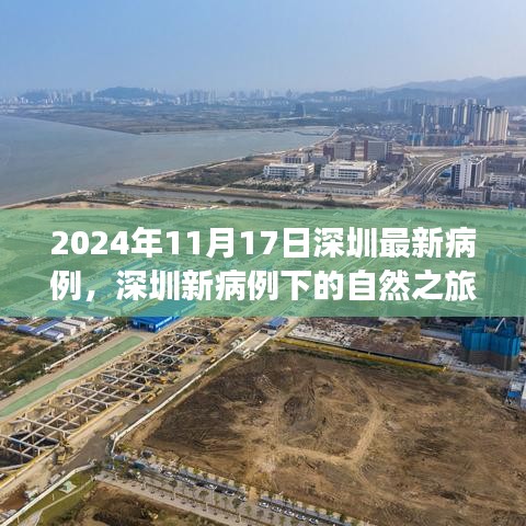 深圳新病例下的自然探索之旅，寻找心灵的宁静港湾（2024年11月17日深圳最新病例）