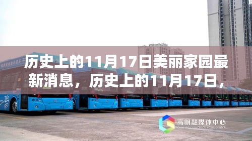 历史上的11月17日，美丽家园最新消息全面评测介绍