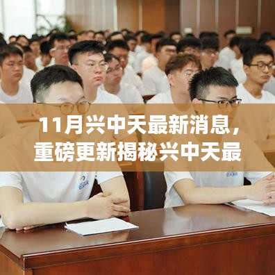 兴中天11月重磅更新揭秘，新动态与机遇挑战并存