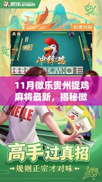 揭秘微乐贵州捉鸡麻将11月最新动态与玩法技巧