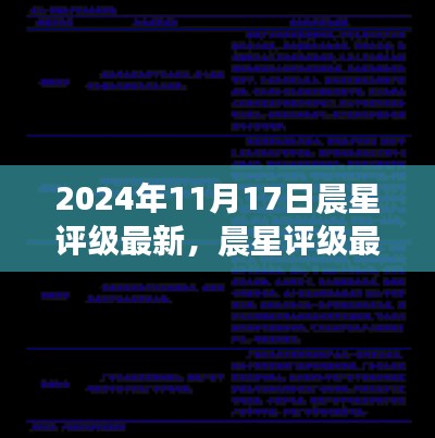 2024年11月晨星评级最新评测，产品特性与体验深度解析