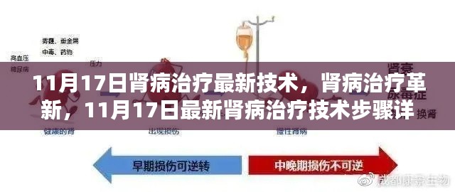 11月17日肾病治疗革新，最新技术步骤详解与肾病治疗进展