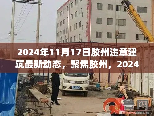 胶州违章建筑最新动态解读，聚焦胶州，2024年11月17日更新