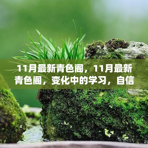 11月最新青色阁，变化中的学习之旅，自信与成就感的正能量源泉