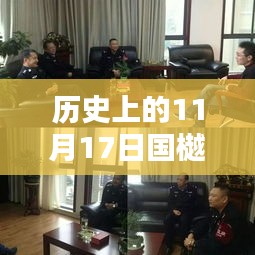 国樾龙城最新动态深度解析与全方位体验，历史视角下的最新消息