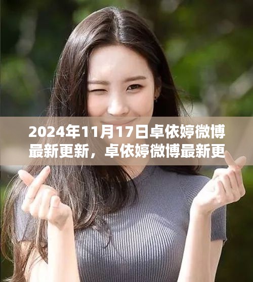 卓依婷微博最新更新指南，初学者与进阶用户必备指南（2024年11月17日更新）