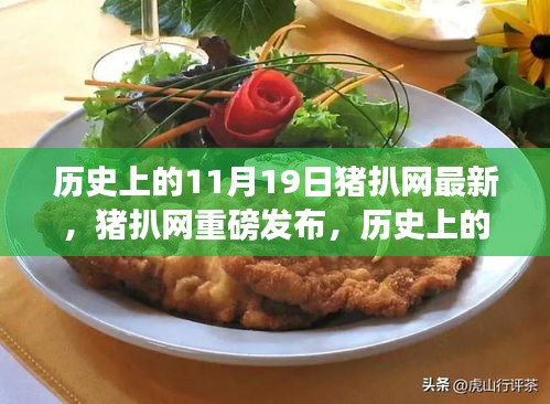 历史上的11月19日深度解析猪扒网最新高科技产品发布