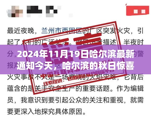 哈尔滨秋日惊喜，日期背后的温馨故事（2024年11月19日最新通知）