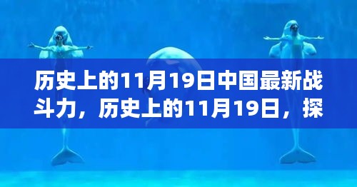 探索中国最新战斗力成长之路，历史上的11月19日回顾与展望