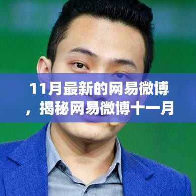 揭秘网易微博十一月新动向，热点话题、新功能与用户互动体验全面解析