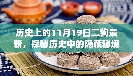 历史探秘日，二狗揭秘隐藏秘境与巷弄美食传奇