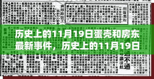 历史上的11月19日蛋壳事件与房东纷争深度解析，最新事件回顾与深度解析