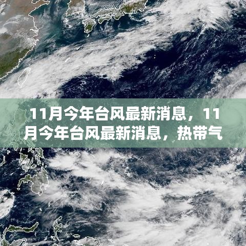 最新消息，热带气旋动态与应对策略，关注今年11月台风的最新消息