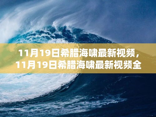 11月19日希腊海啸最新视频，全面评测与介绍