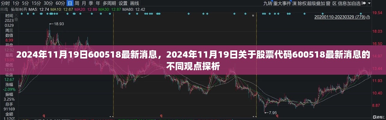 股票代码600518最新消息探析与观点碰撞，2024年11月19日深度报道