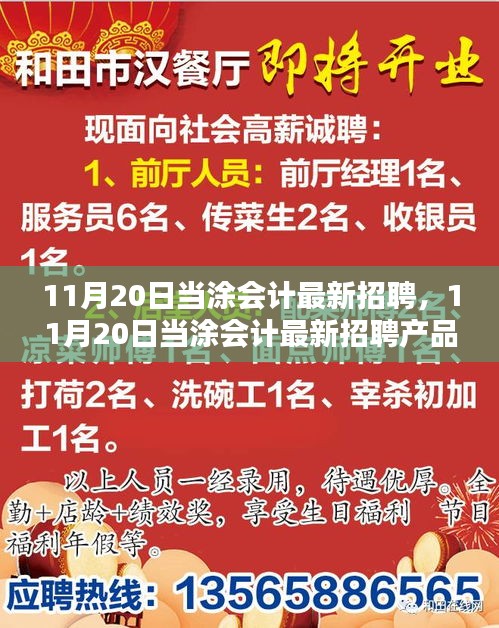 11月20日当涂会计最新招聘及全面评测介绍