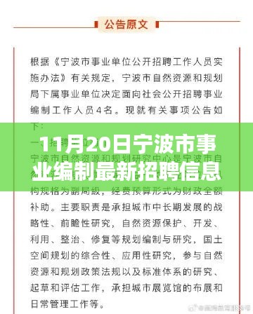 宁波市事业编制最新招聘信息发布，把握机遇，成就职业梦想