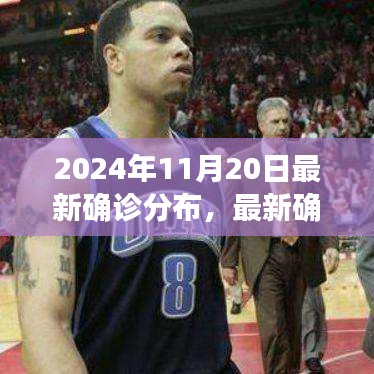 2024年11月20日全球最新确诊分布解析与指南