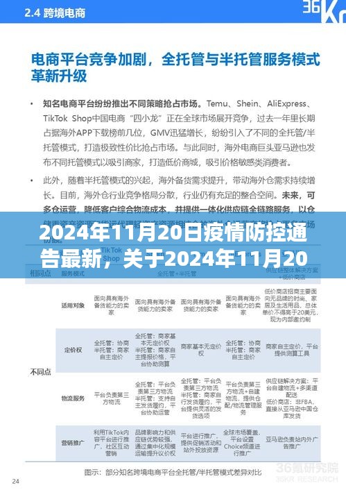 关于疫情防控通告的最新动态，特性解析、用户体验与目标用户群体分析（2024年11月20日更新）