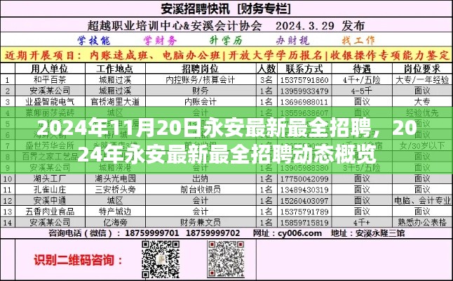 永安最新招聘动态概览，最新最全招聘信息一网打尽