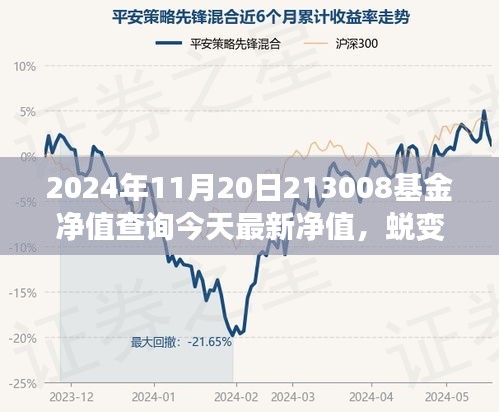 蜕变之歌，知识为翼，拥抱成长的力量——最新基金净值报告