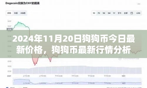 狗狗币最新行情报告，聚焦狗狗币今日价格动态与深度分析