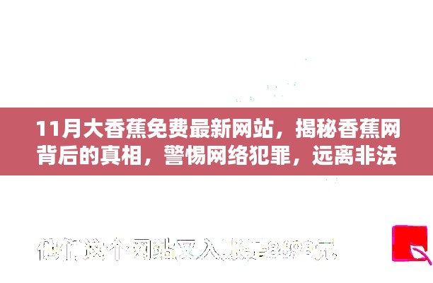 揭秘11月大香蕉免费网站背后的真相，警惕网络犯罪，远离非法内容警告