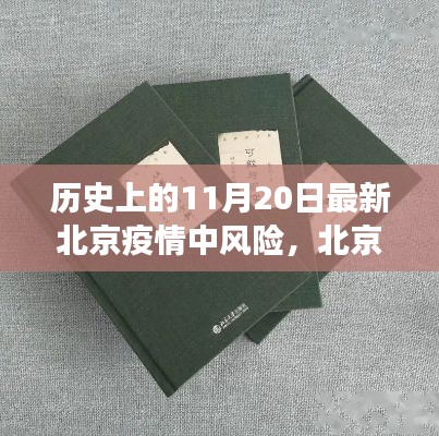 北京疫情中风险下的思辨，历史视角与多方观点分析（历史与现状交汇的11月20日）