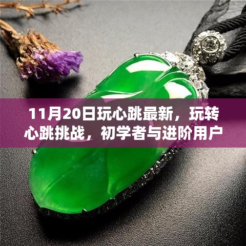 初学者与进阶用户必备！玩转心跳挑战，最新指南（11月20日更新版）