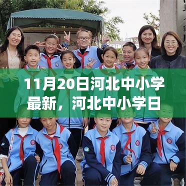 11月20日河北中小学最新，河北中小学日常趣事，暖阳下的成长故事