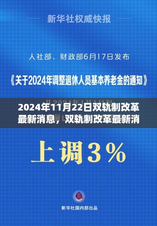 双轨制改革最新动态，适应与应对指南