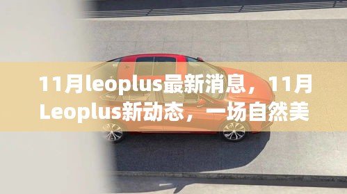 11月leoplus最新消息，11月Leoplus新动态，一场自然美景的探索之旅，启程寻找内心的宁静与平和