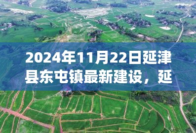 延津县东屯镇2024年最新建设进展报告，聚焦细节，展现建设新貌