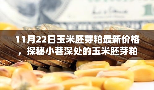 探秘小巷深处的玉米胚芽粕宝藏，最新价格揭秘（11月22日）