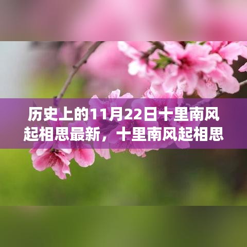 十里南风起相思，自然美景的心灵之旅历史回顾与最新动态