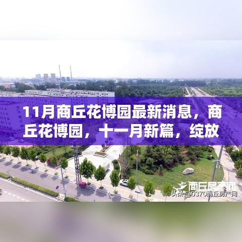 11月商丘花博园新篇章，绽放时代之光