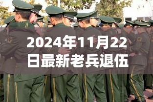 小巷深处的老兵情怀，特色小店与退伍老兵的温暖相遇