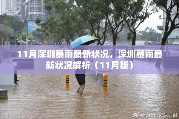 深圳暴雨最新状况解析，11月暴雨情况报告